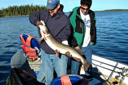 DSC 5864e Greg's Pike 47.5 inches