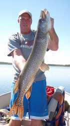 Dave B 41 Inch Pike (dnsz)