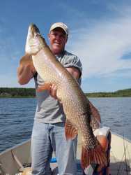 Dave B 44 Inch Pike (dnsz)