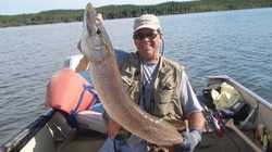 Dave S 42 Inch Pike (dnsz)