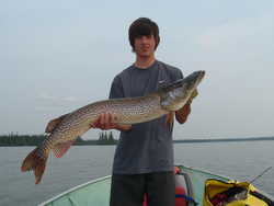 Dustin 45 inch