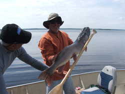 pelletier lake monster